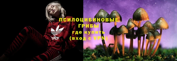 стаф Карпинск
