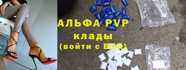 стаф Карпинск