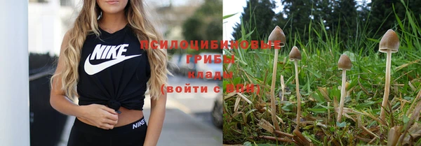 стаф Карпинск