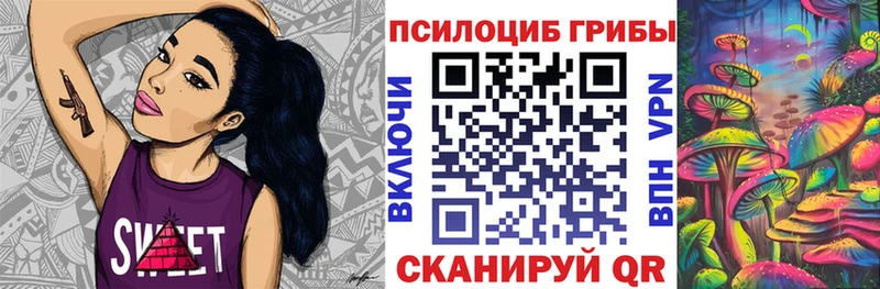Купить закладки  Кольчугино  Галлюциногенные грибы прущие грибы 