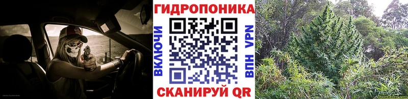 Канабис тримм  Купить закладки  Кольчугино 